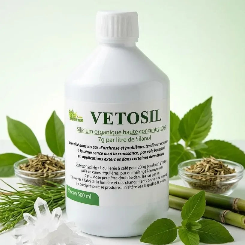 Vetosil complément silicium arthrose douleur articulaire chien chat avec ingrédients naturels