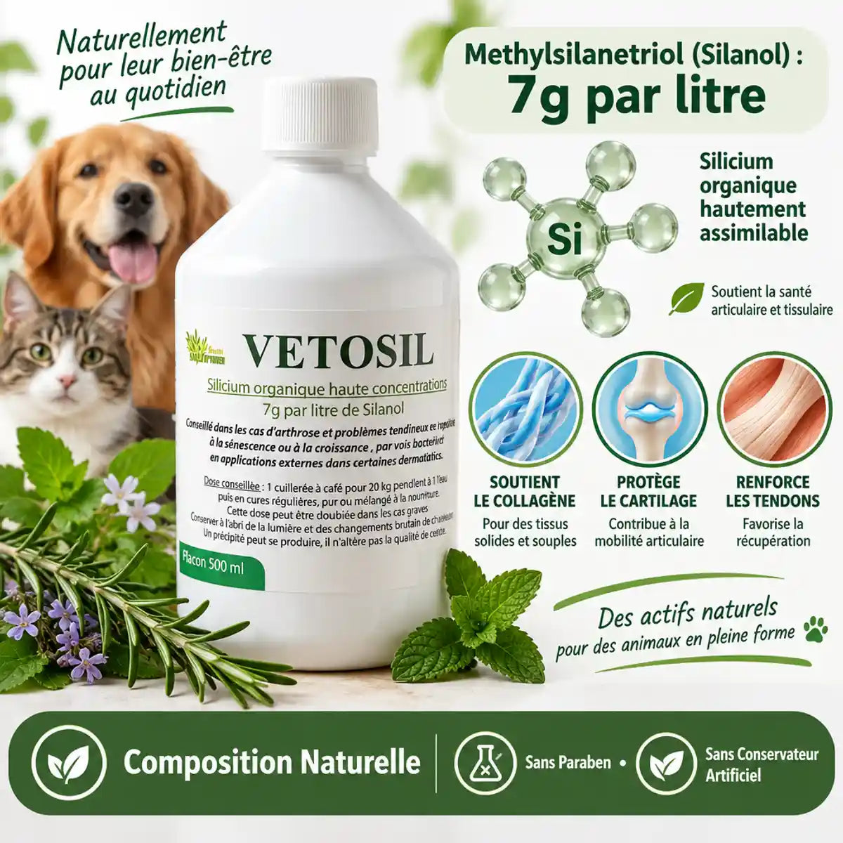 Vetosil supplément silicium organique arthrose chien chat bouteille 500ml composition naturelle