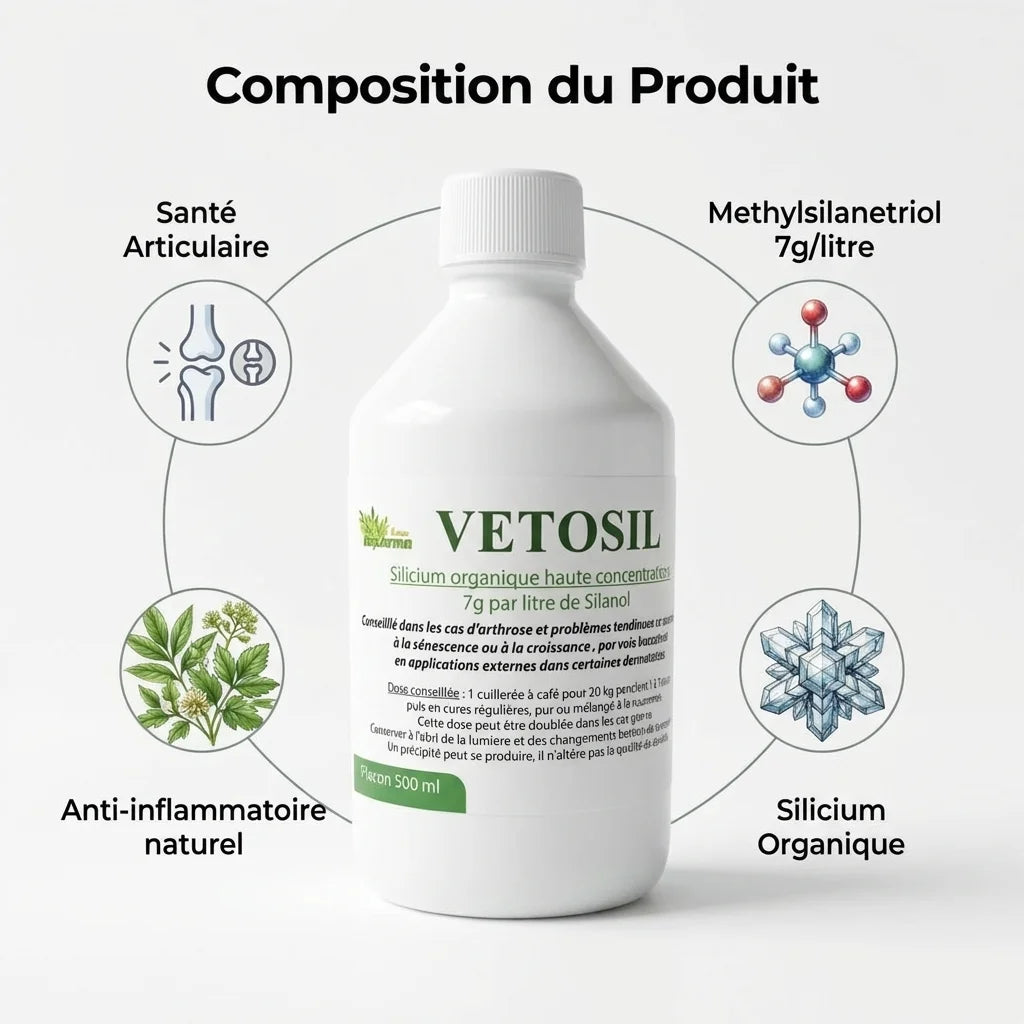 Vetosil flacon arthrose chien chat - silicium organique et anti-inflammatoire naturel pour articulations