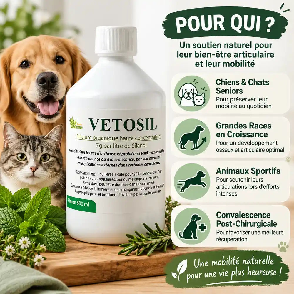 Vetosil flacon arthrose chien chat seniors, grandes races sportives et convalescence post-chirurgicale