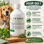 Vetosil flacon arthrose chien chat seniors, grandes races sportives et convalescence post-chirurgicale