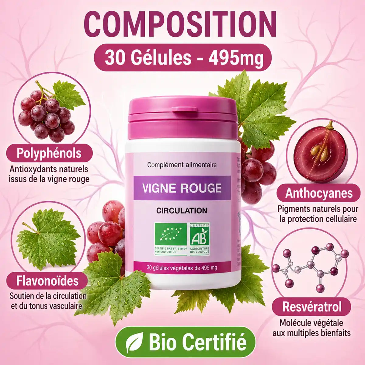 Vigne rouge bio 30 gélules 495mg avec infographie des composants polyphénols et anthocyanes