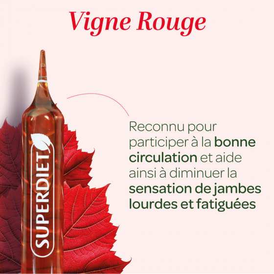 Les bienfaits de la vigne rouge sur la circulation sanguine et la sensation de jambes lourdes et fatiguées