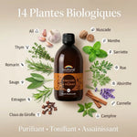 Vinaigre des 4 Voleurs Bio 500ml Biofloral avec 14 plantes biologiques - Ail, Thym, Romarin, Sauge