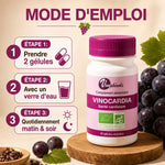 Vinocardia bio 60 gélules vinophénols mode d'emploi 2 gélules quotidiennement avec eau