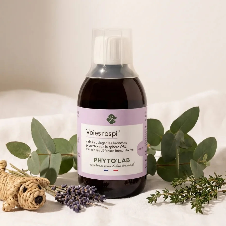 Voies Respi' Chien Chat 250ml Phyto'Lab avec herbes naturelles et eucalyptus pour respiration apaisée