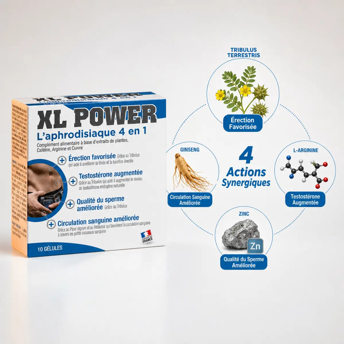 XL Power aphrodisiaque 4 en 1 Labophyto : boîte produit et infographie des 4 ingrédients actifs