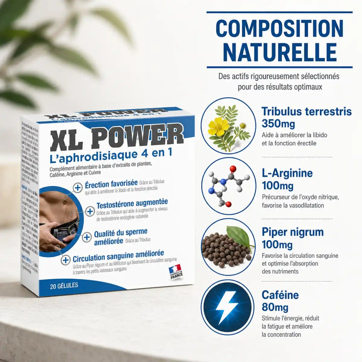 XL Power Aphrodisiaque 4 en 1 Labophyto avec composition Tribulus, L-Arginine, Piper nigrum et Caféine