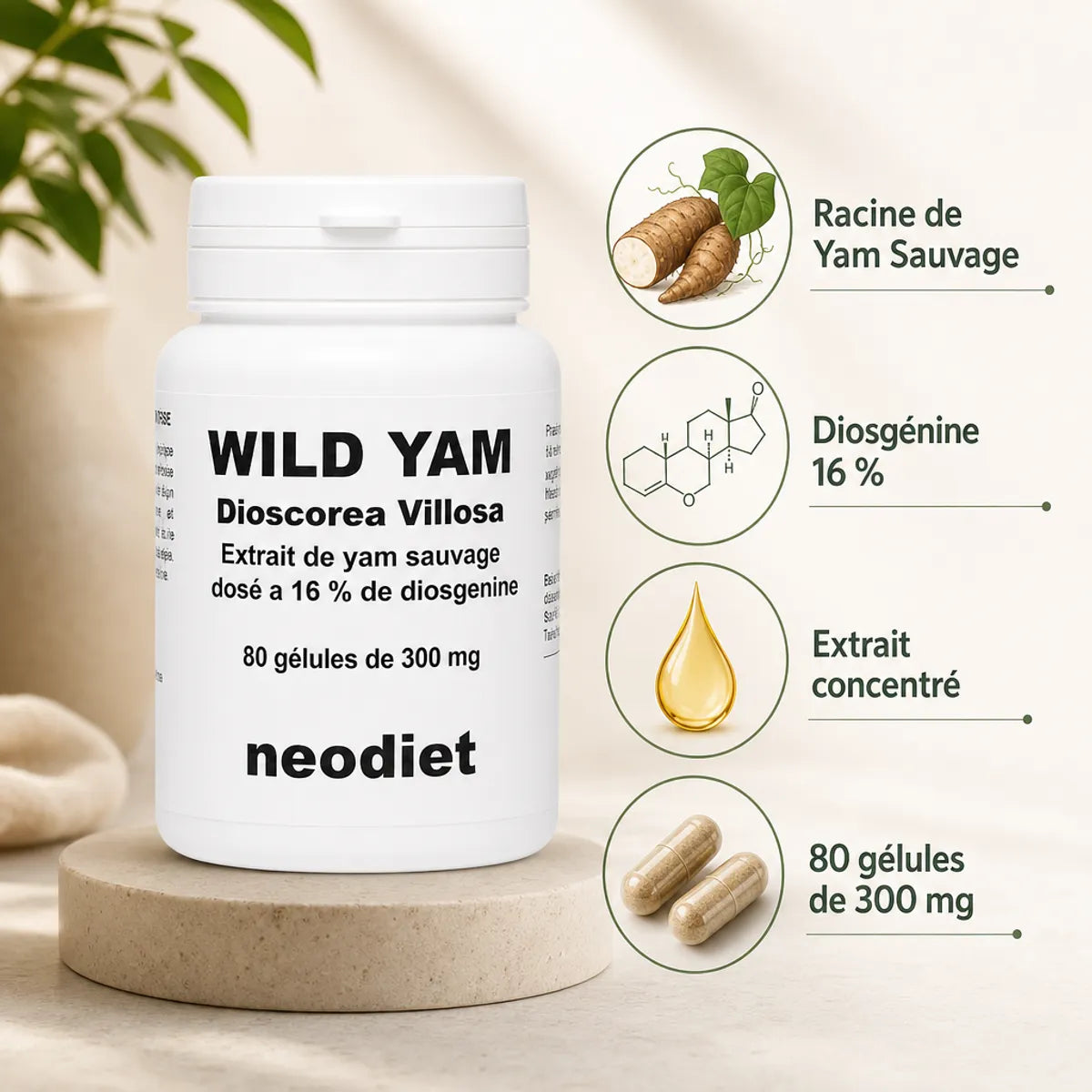 Yam Sauvage Neodiet 80 gélules avec infographie des ingrédients actifs et diosgénine