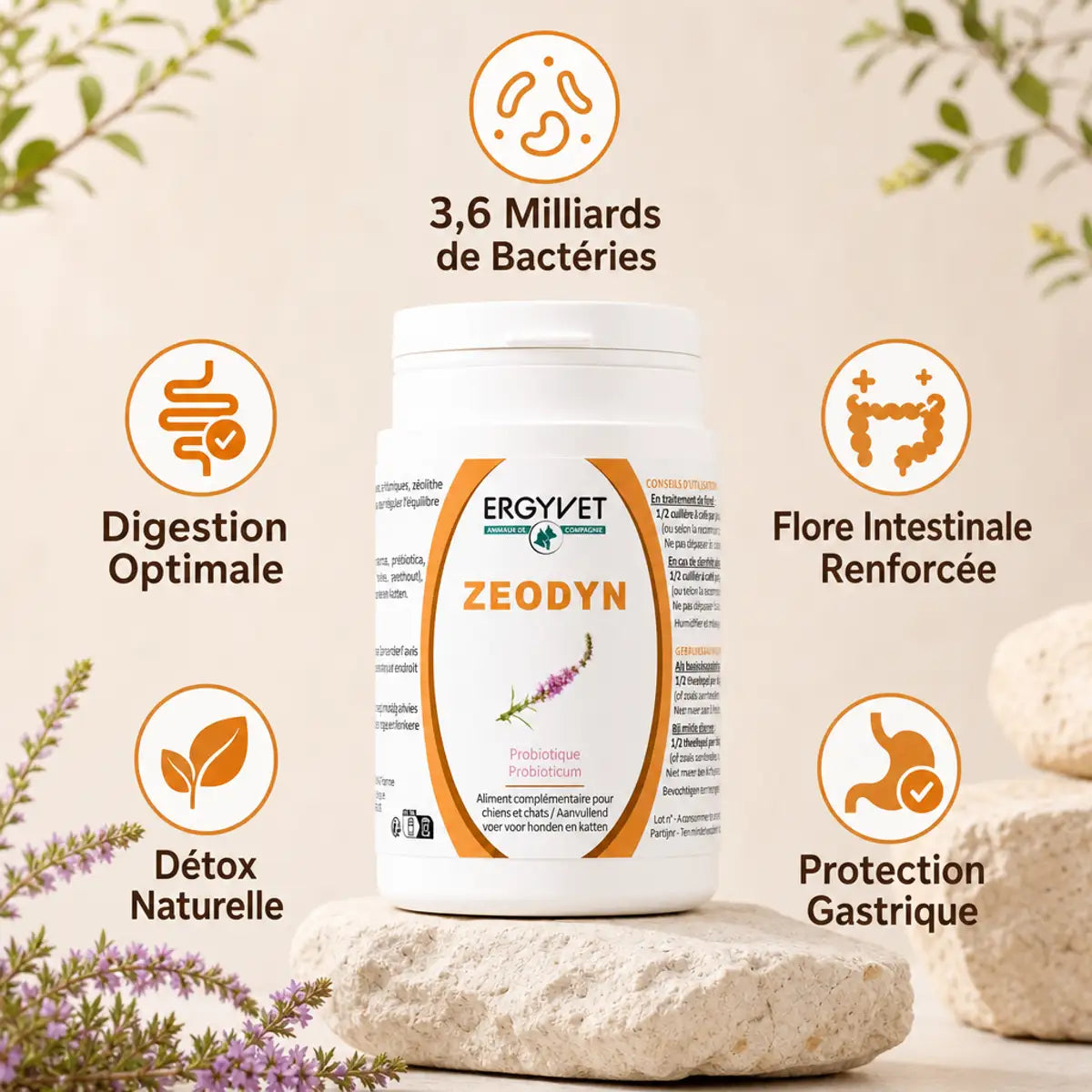 Zeodyn probiotique chien chat 70g Ergyvet avec 3,6 milliards de bactéries pour digestion optimale