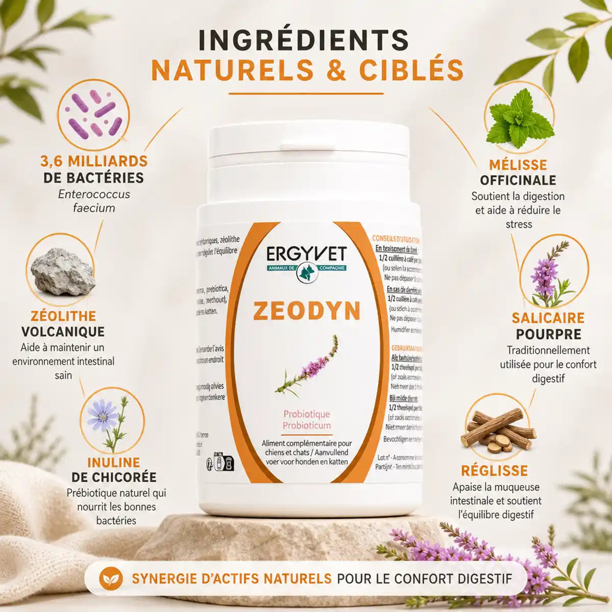 Zeodyn probiotique chien chat 70g pot blanc avec infographie ingrédients Enterococcus faecium zéolithe