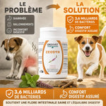 Zeodyn probiotique chien chat 70g avant après digestif sain Ergyvet