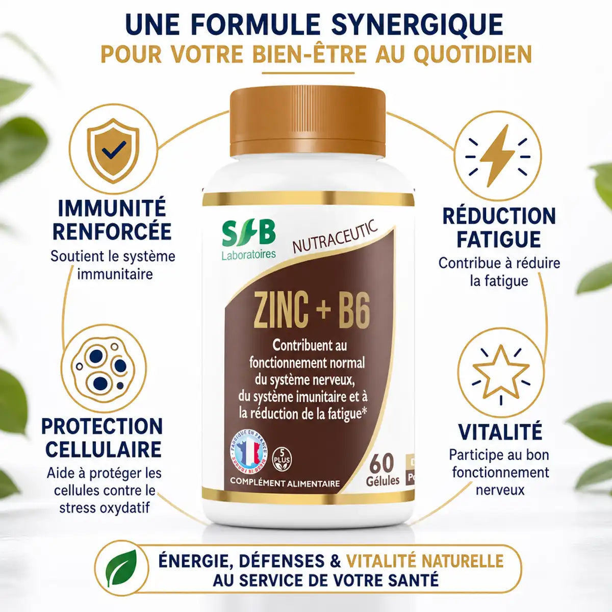 Zinc Bisglycinate + Vitamine B6 SFB - Immunité, énergie et protection cellulaire