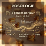Guide de posologie Zinc Bisglycinate + Vit. B6 : 2 gélules par jour matin et soir