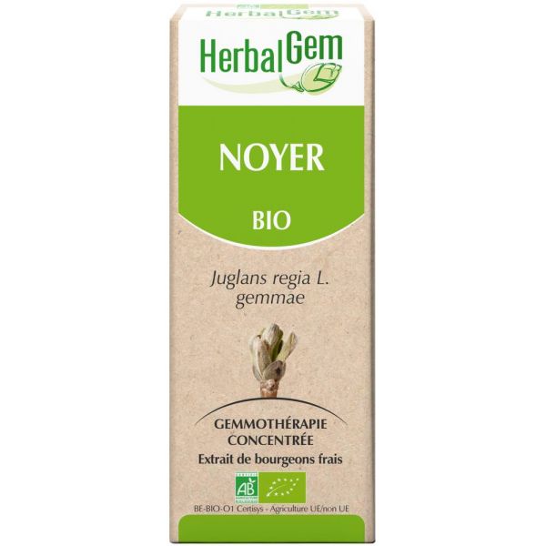 L'extrait de bourgeons frais Noyer Bio favorise le fonctionnement intestinal et soutient le système immunitaire.