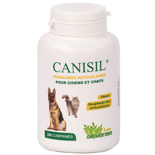 Canisil Arthrose du chien et du chat, anti inflammatoire naturel et remise en forme