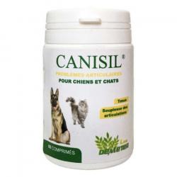 Canisil Arthrose du chien et du chat, anti inflammatoire naturel et remise en forme
