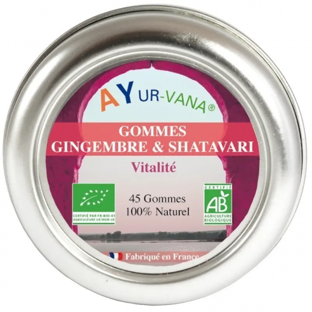 Gommes Gingembre & Shatavari Bio - Boîte de 45 grammes (45 gommes) 